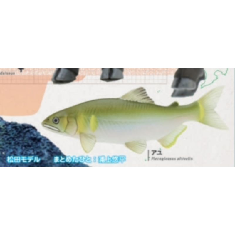 Japan Ikimon Gashapon Capsule  - огляд і ціна Capsule Toy Gashapon